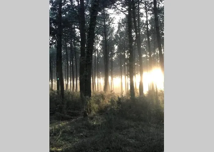 Сasa de vacaciones Maison A 300m De La Plage, Quartier Calme Mimizan